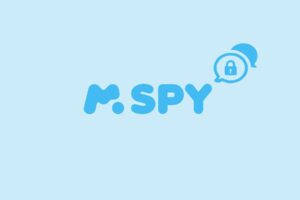 O mSpy mostra o histórico privado?
